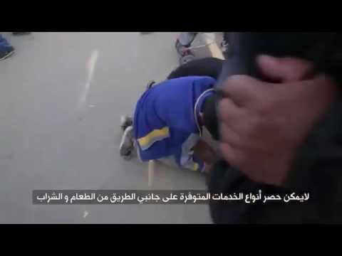 تقرير أجنبي عن زيارة الأربعين- لبيك يا حسين