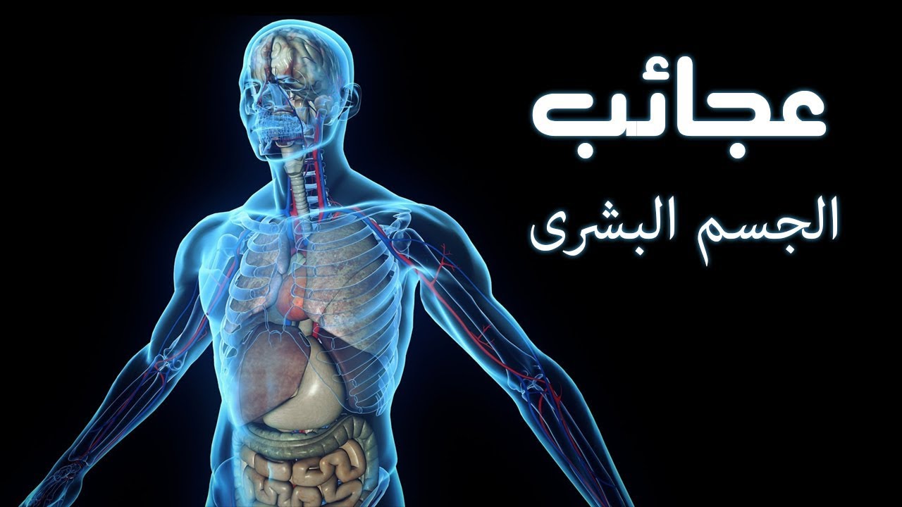 حقائق مدهشه عن جسم الانسان .. ذلك الكائن العجيب .. ستعرفها لأول مرة !